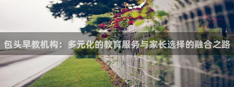 天狮娱乐招商36633：包头早教机构：多元化的教育服务与家长选择的融合之路