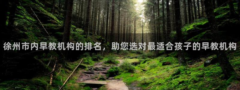天狮娱乐 82104直招q：徐州市内早教机构的排名，助您选对最适合孩子的早教机构