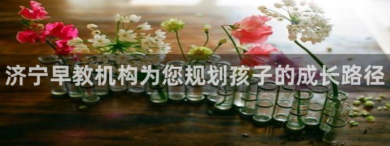 天狮娱乐 官方网站：济宁早教机构为您规划孩子的成长路径
