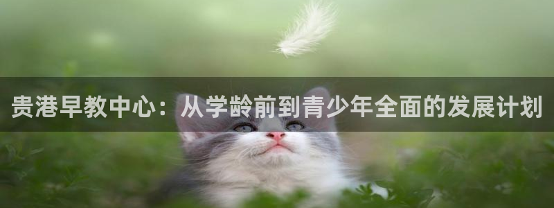 天狮娱乐股东39869：贵港早教中心：从学龄前到青少年全面的发展计划