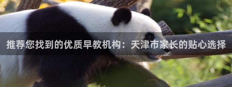 天狮娱乐138do点c0m：推荐您找到的优质早教机构：天津市家长的贴心选择