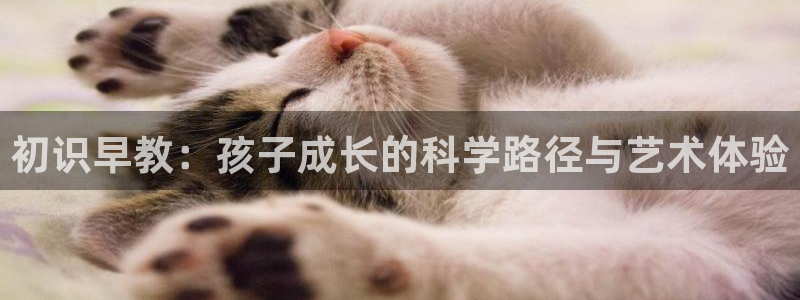 天狮娱乐最新版本：初识早教：孩子成长的科学路径与艺术体验