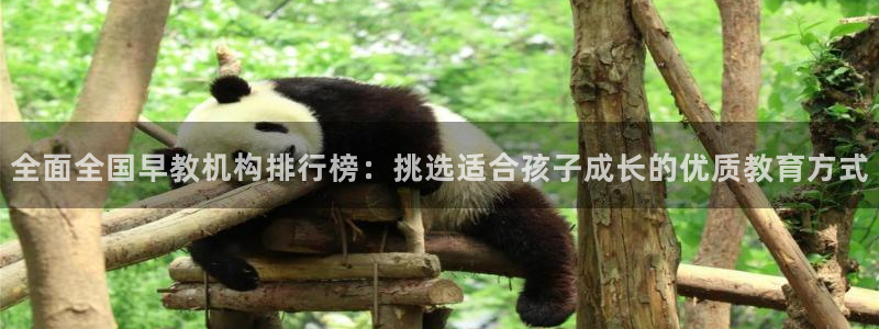 天狮娱乐縕不稳当：全面全国早教机构排行榜：挑选适合孩子成长的优质教育方式