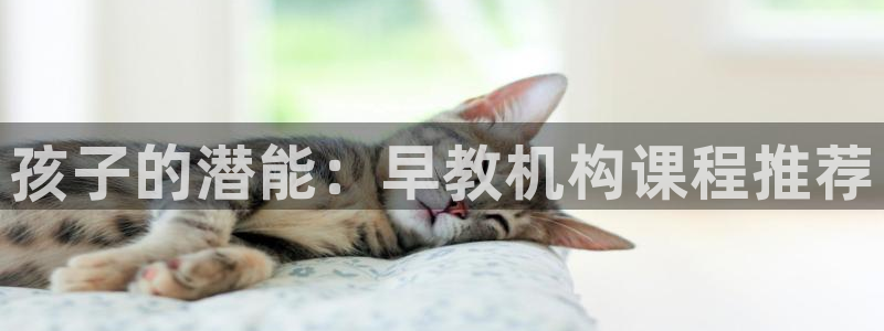 天狮学院娱乐设施：孩子的潜能：早教机构课程推荐