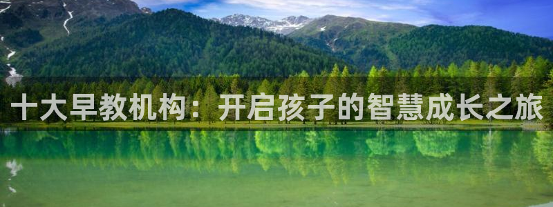 天狮娱乐丨天狮注册平台：十大早教机构：开启孩子的智慧成长之旅