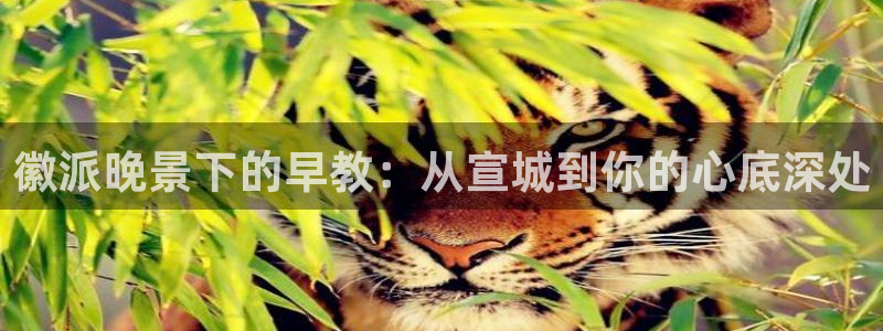 天狮娱乐运营：徽派晚景下的早教：从宣城到你的心底深处