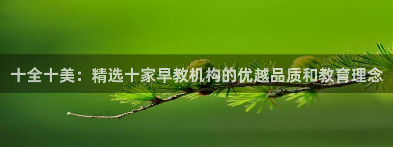 天狮娱乐负：十全十美：精选十家早教机构的优越品质和教育理念