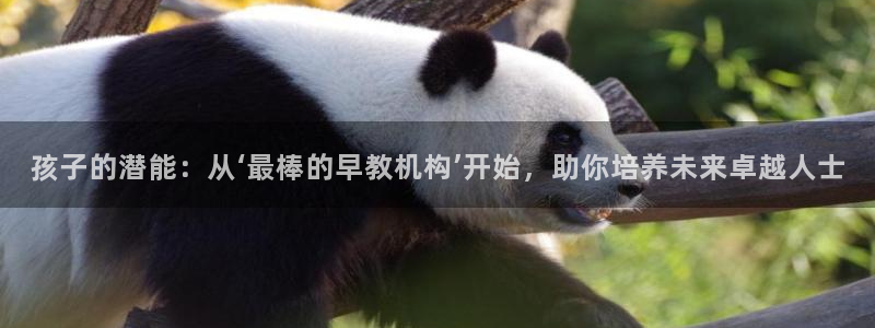 天狮娱乐指尖下载安装：孩子的潜能：从‘最棒的早教机构’开始，助你培养未来卓越人士