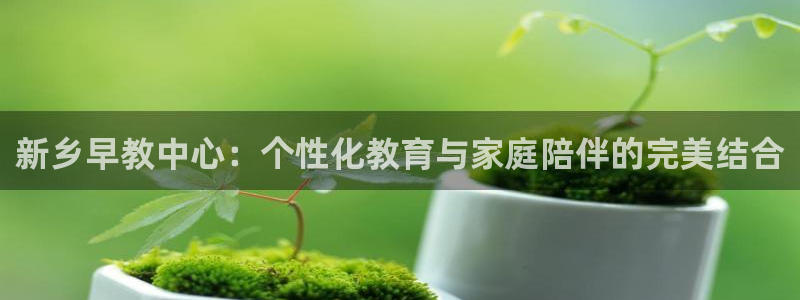 天狮娱乐登录：新乡早教中心：个性化教育与家庭陪伴的完美结合