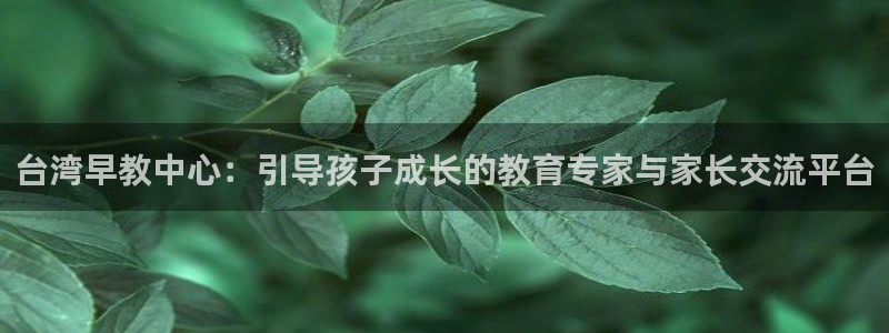 天狮会娱乐KTV会所怎么样：台湾早教中心：引导孩子成长的教育专家与家长交流平台