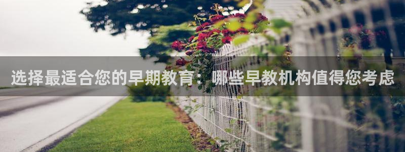 天狮娱乐股东36633：选择最适合您的早期教育：哪些早教机构值得您考虑