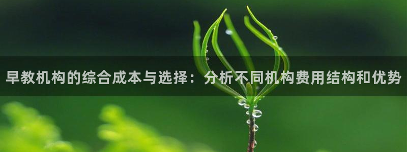 天狮娱乐挂机风险：早教机构的综合成本与选择：分析不同机构费用结构和优势