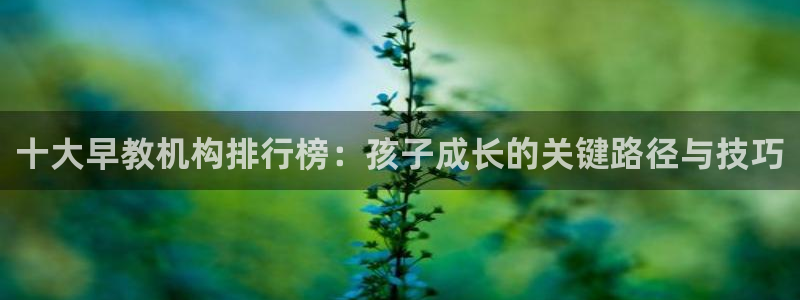 天狮娱乐指尖下载手机版：十大早教机构排行榜：孩子成长的关键路径与技巧