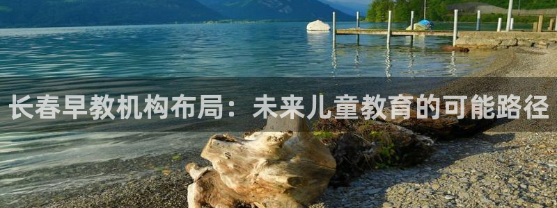天狮娱乐登录：长春早教机构布局：未来儿童教育的可能路径