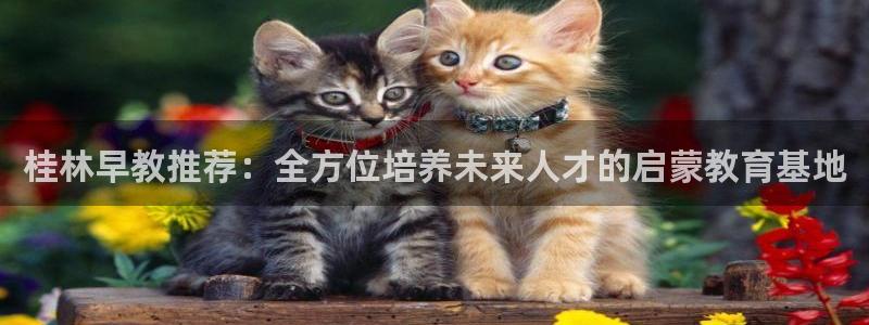 天狮娱乐分分彩下载：桂林早教推荐：全方位培养未来人才的启蒙教育基地