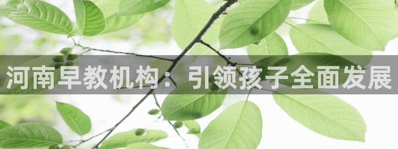 天狮娱乐 送彩金酷赢：河南早教机构：引领孩子全面发展