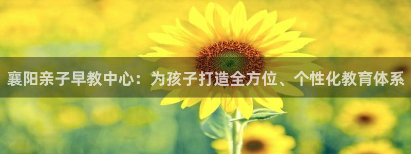 天狮娱乐e 判官：襄阳亲子早教中心：为孩子打造全方位、个性化教育体系