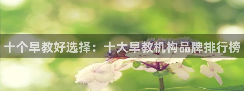 天狮娱乐36633股东：十个早教好选择：十大早教机构品牌排行榜