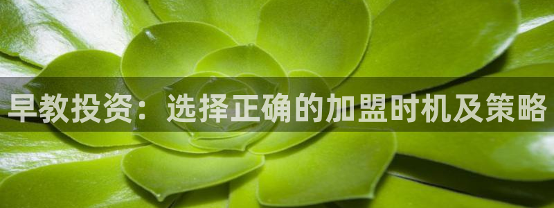 天狮娱乐然：早教投资：选择正确的加盟时机及策略