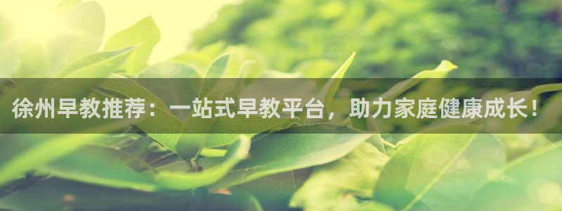 天狮娱乐 a主57661管：徐州早教推荐：一站式早教平台，助力家庭健康成长！
