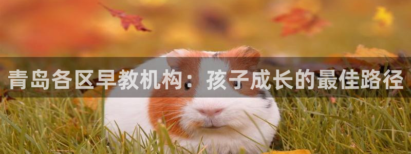 天狮娱乐授权：青岛各区早教机构：孩子成长的最佳路径
