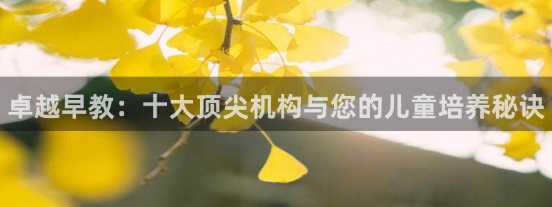 天狮娱乐嘉扣 o：卓越早教：十大顶尖机构与您的儿童培养秘诀