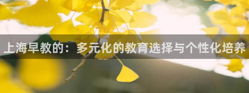 天狮娱乐彩票平台：上海早教的：多元化的教育选择与个性化培养